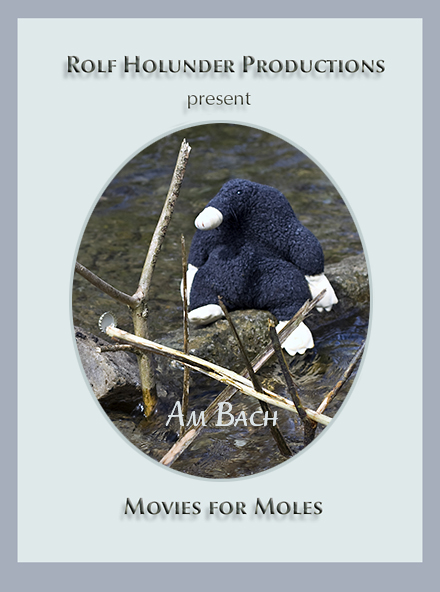 Movies for Moles Am Bach